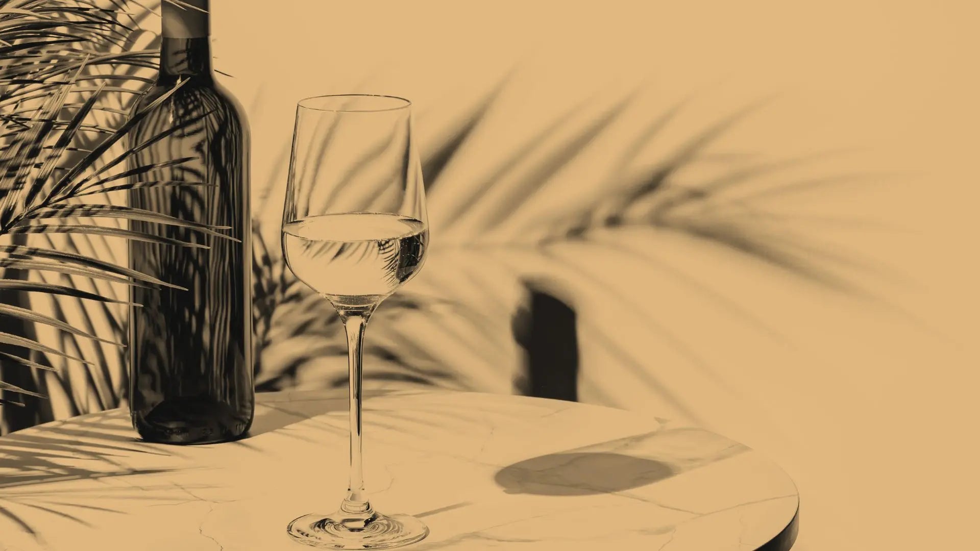 Alcohol and Female Health: How to Drink Smarter Without Sacrificing Wellness