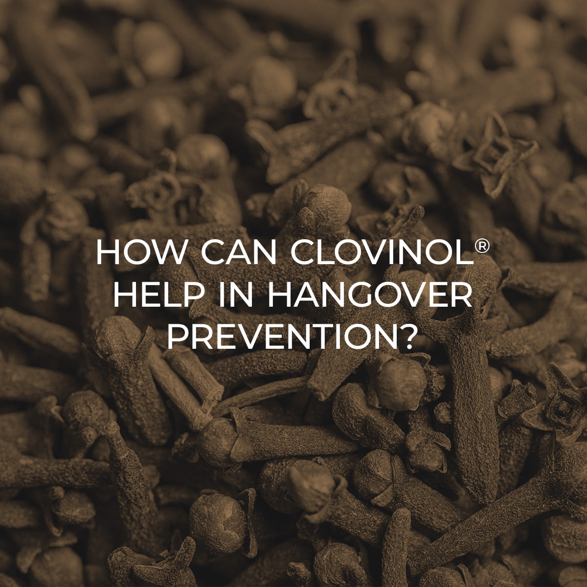 Clovinol® Clove Extract - How Can Clovinol® Help in Hangover Prevention?