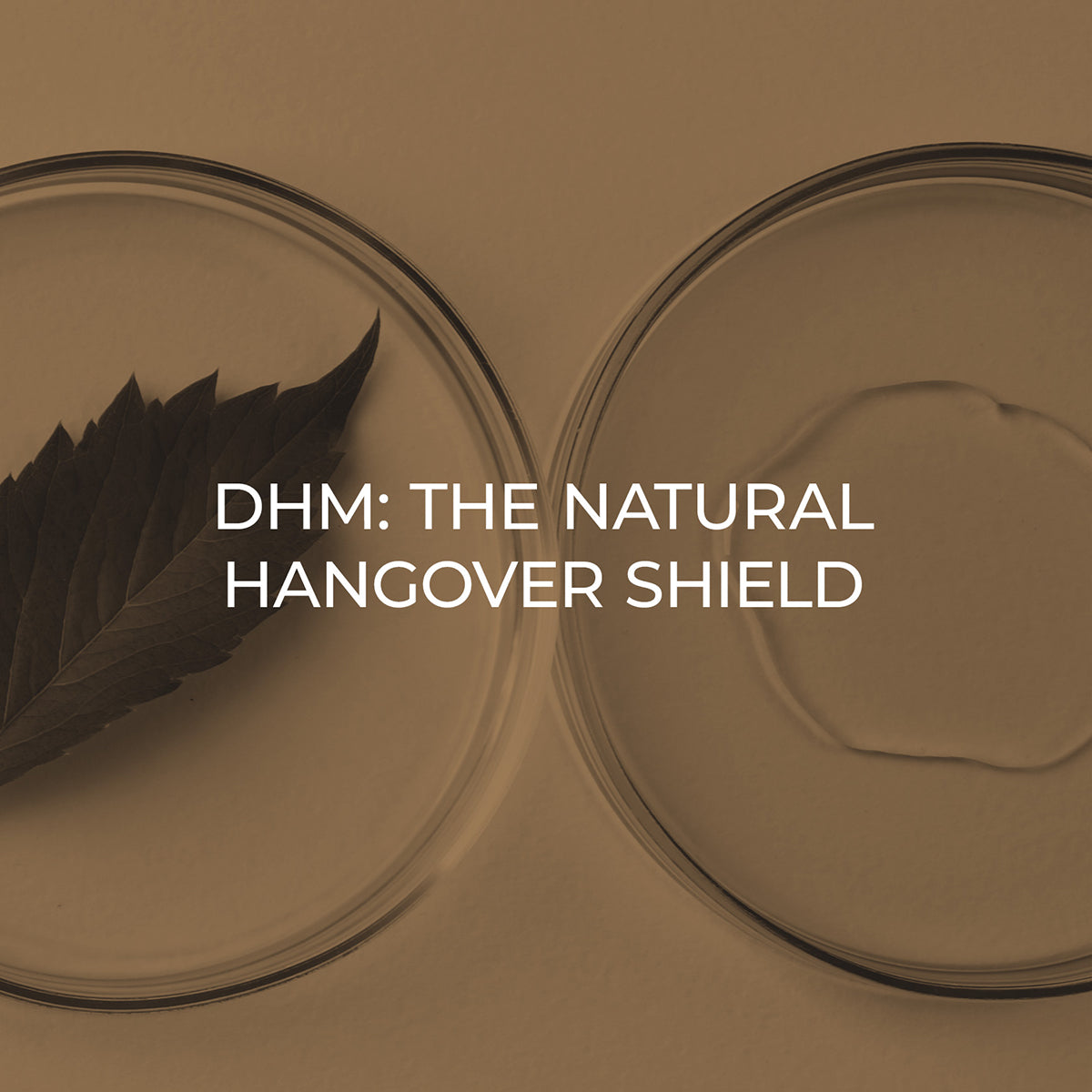 Alcohol and Hangovers DHM (Dihydromyricetin)